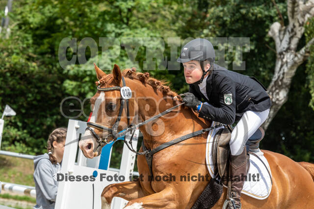 Late-Entry-Vielseitigkeit Langenfeld (06.+07.07.2020)