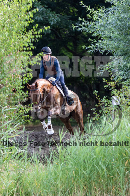 Late-Entry Vielseitigkeit Hamminkeln/Wesel (01.+02.08.2020)