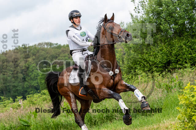 Westerstede Horse Trials 2021