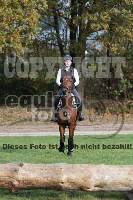 IGV Lehrgang der Sieger der Cups mit Frank Ostholt