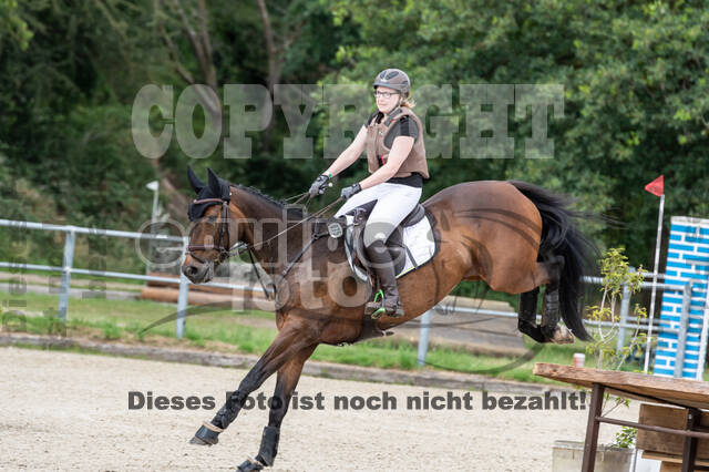 Late-Entry-Vielseitigkeit Langenfeld (11.+13./14.06.2020)