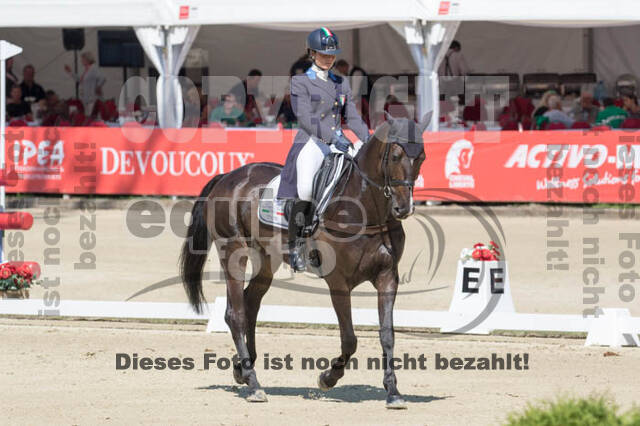 FEI European Championship