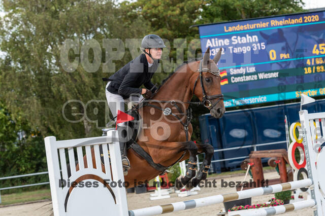 Landesturnier Rheinland, Vielseitigkeit, 22.+23.08.2020