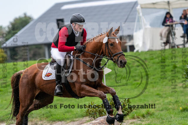 Goldene Schärpe 2020 - Pferde