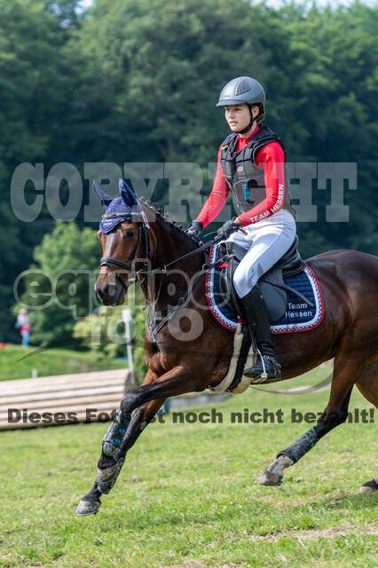 Goldene Schärpe 2021 - Ponys