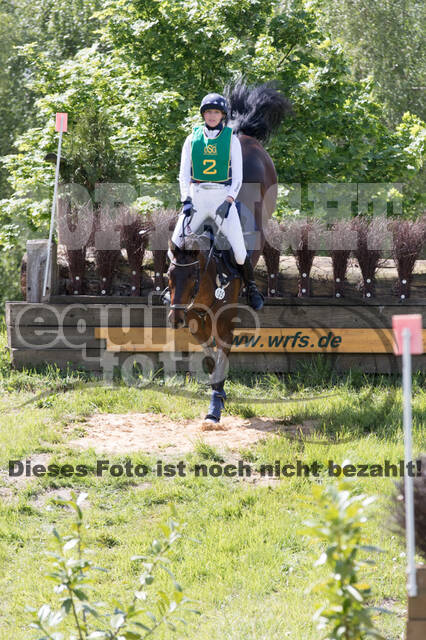 Sterne über Münster 2019 - CCI***S
