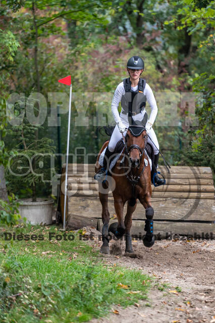 Goldene Schärpe 2020 - Pferde