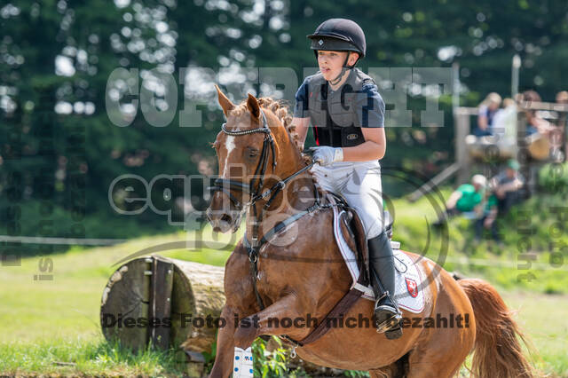 Goldene Schärpe 2021 - Ponys