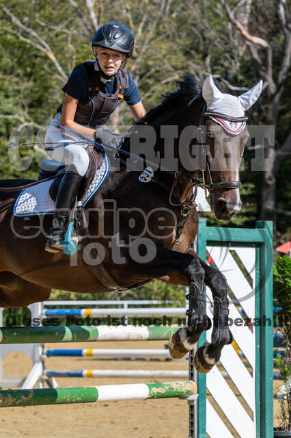 RFV Dinslaken-Hiesfeld (Herbstturnier)