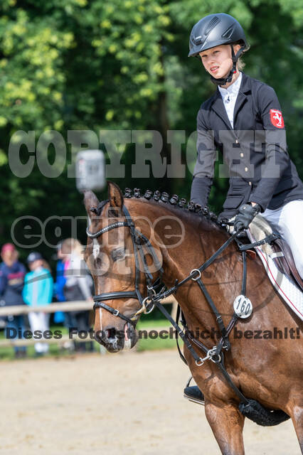 Goldene Schärpe 2021 - Ponys