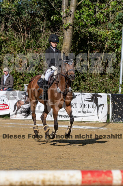 RFV Dinslaken-Hiesfeld (Herbstturnier)