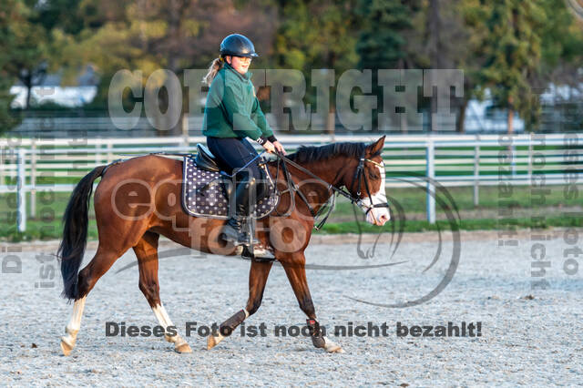 IGV Lehrgang der Sieger der Cups mit Frank Ostholt