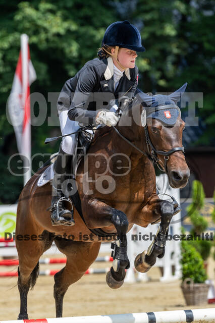 Goldene Schärpe 2021 - Ponys