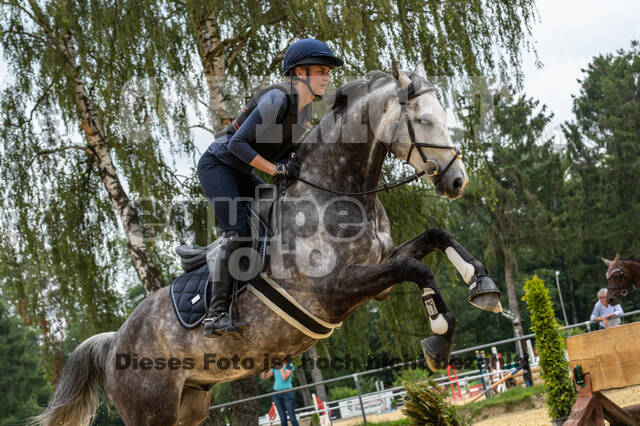 Hunter Geländetraining 10.07.2021 (Sonsbeck)