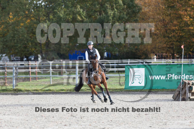 IGV Lehrgang der Sieger der Cups mit Frank Ostholt