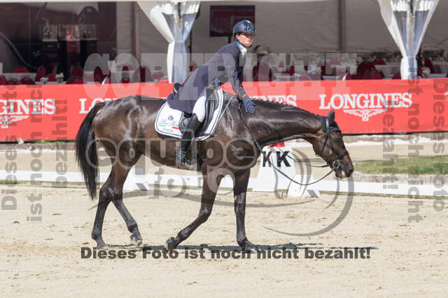 FEI European Championship