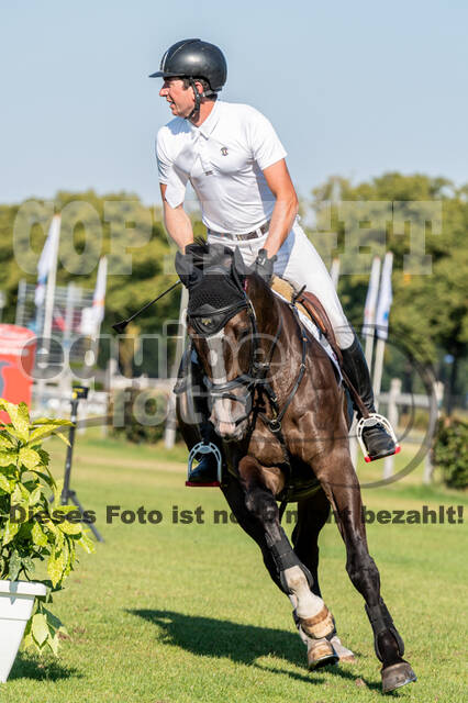 Kronenberg - De Peelbergen (August 2020)