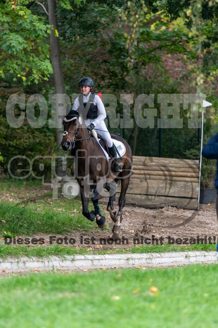 Goldene Schärpe 2020 - Pferde