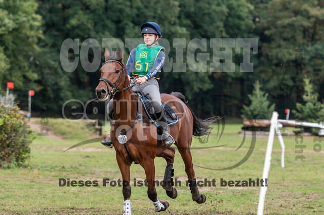 Vielseitigkeit RSV Wesel Obrighoven (26.+27.09.2020)