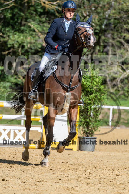 RFV Dinslaken-Hiesfeld (Herbstturnier)