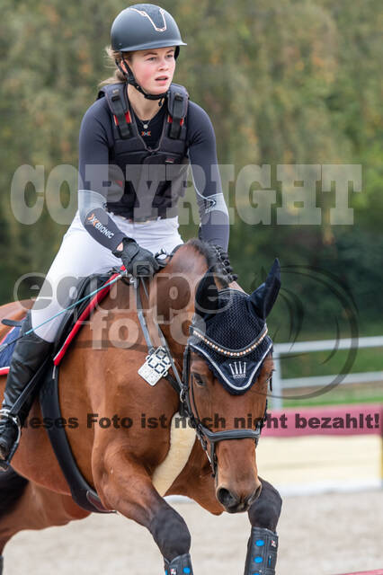 Goldene Schärpe 2020 - Pferde