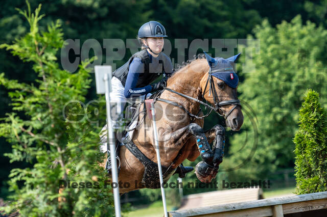 Goldene Schärpe 2021 - Ponys