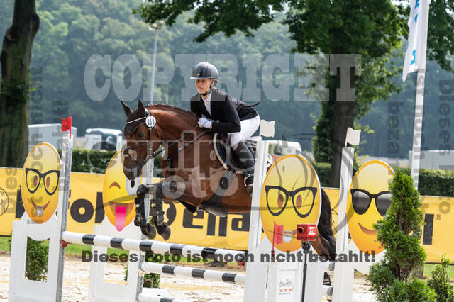 Goldene Schärpe 2021 - Ponys
