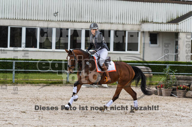 Eventing im Pferdesportzentrum Rheinland (Late Entry 14.03.2022)
