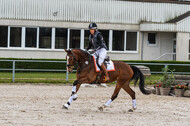 Eventing im Pferdesportzentrum Rheinland (Late Entry 14.03.2022)