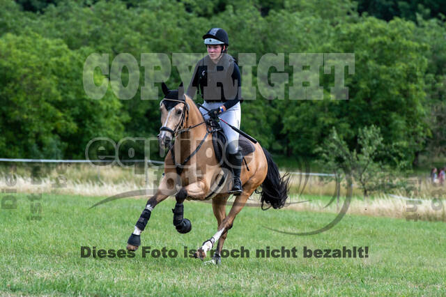 Bonn-Rodderberg Late-Entry-Vielseitigkeit (30.06.2020)
