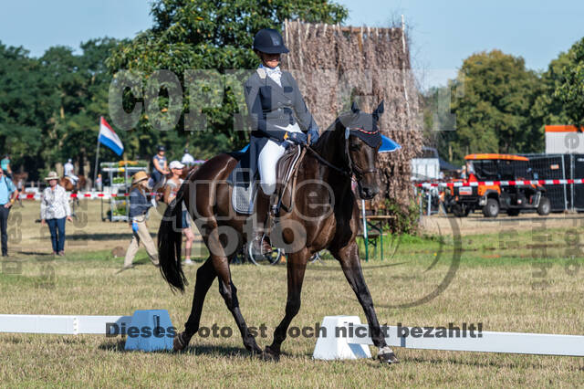 Kronenberg - De Peelbergen (August 2020)