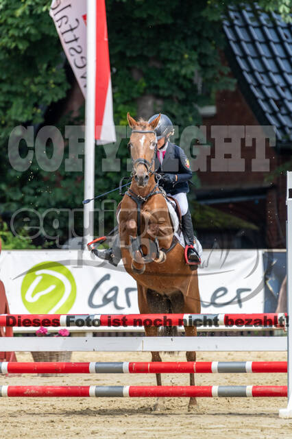 Goldene Schärpe 2021 - Ponys