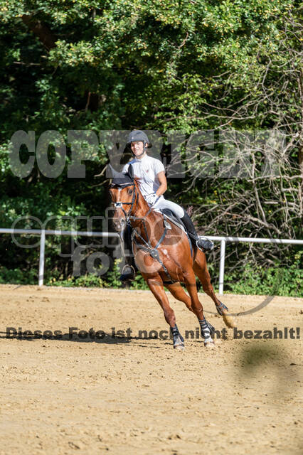 RFV Dinslaken-Hiesfeld (Herbstturnier)
