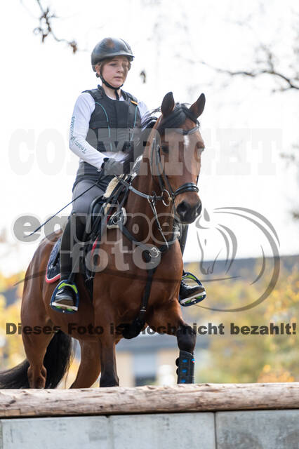 IGV Lehrgang der Sieger der Cups mit Frank Ostholt