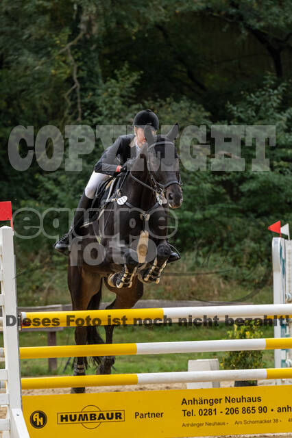 Vielseitigkeit RSV Wesel Obrighoven (26.+27.09.2020)