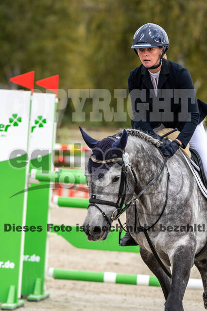 Deutsche Meisterschaft Vielseitigkeit (Luhmühlen)