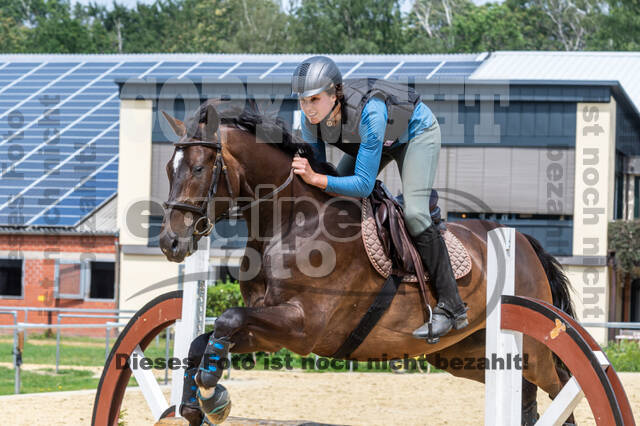 Hunter Geländetraining 10.07.2021 (Sonsbeck)