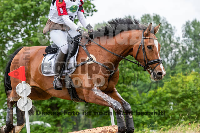 Westerstede Horse Trials 2021