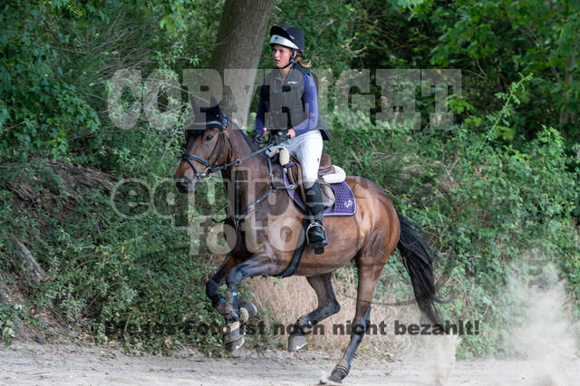 Late-Entry-Vielseitigkeit Langenfeld (11.+13./14.06.2020)