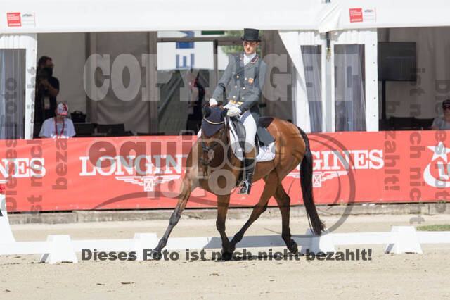 FEI European Championship Eventing 2017