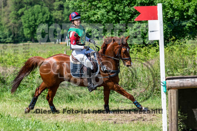 Westerstede Horse Trials (10.-13.06.2021)