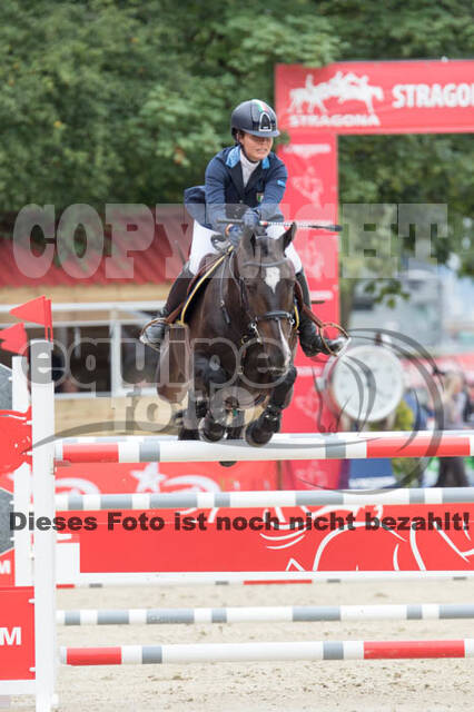 FEI European Championship