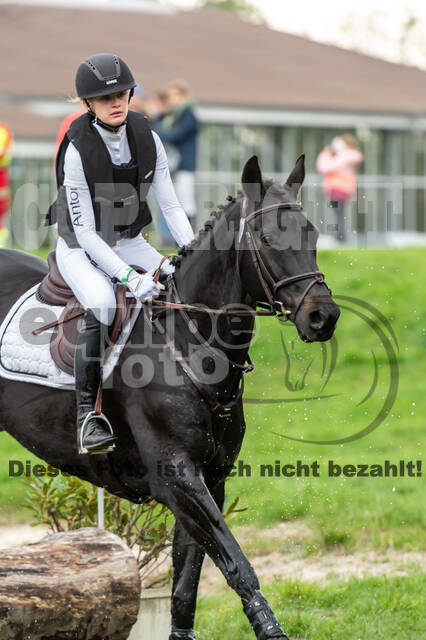 Goldene Schärpe 2020 - Pferde