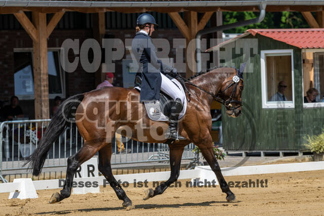 Westerstede Horse Trials 2021