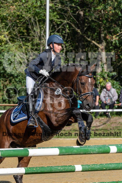 RFV Dinslaken-Hiesfeld (Herbstturnier)