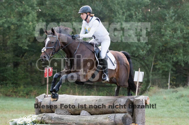 Vielseitigkeitsturnier RSV St. Hubertus Wesel Obrighoven