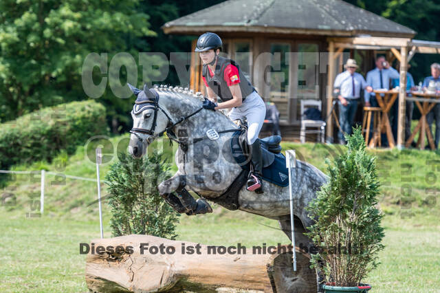 Goldene Schärpe 2021 - Ponys