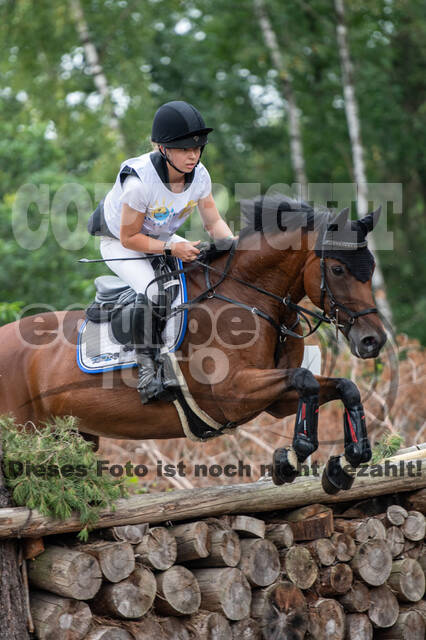 Late-Entry Vielseitigkeit Hamminkeln/Wesel (01.+02.08.2020)