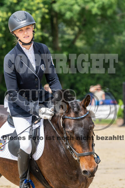 Goldene Schärpe 2021 - Ponys