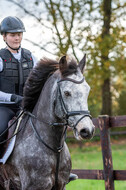 Vielseitigkeitslehrgang mit Jürg Kurbel (9.+10.11.2019)